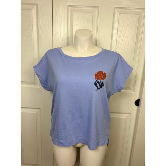 Anthropologie Tops - Anthropologie Parrott Paints T-Shirt Short Sleeve Blue Size XL